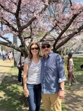 cherry-blossom-tour-2