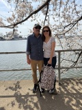 cherry-blossom-tour-3